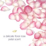 Dove 0% Aluminum Free Deodorant 24-hour Odor Protection Rose Petals Deodorant for Women, 2.6 Ounce (Pack of 3) - Image 8